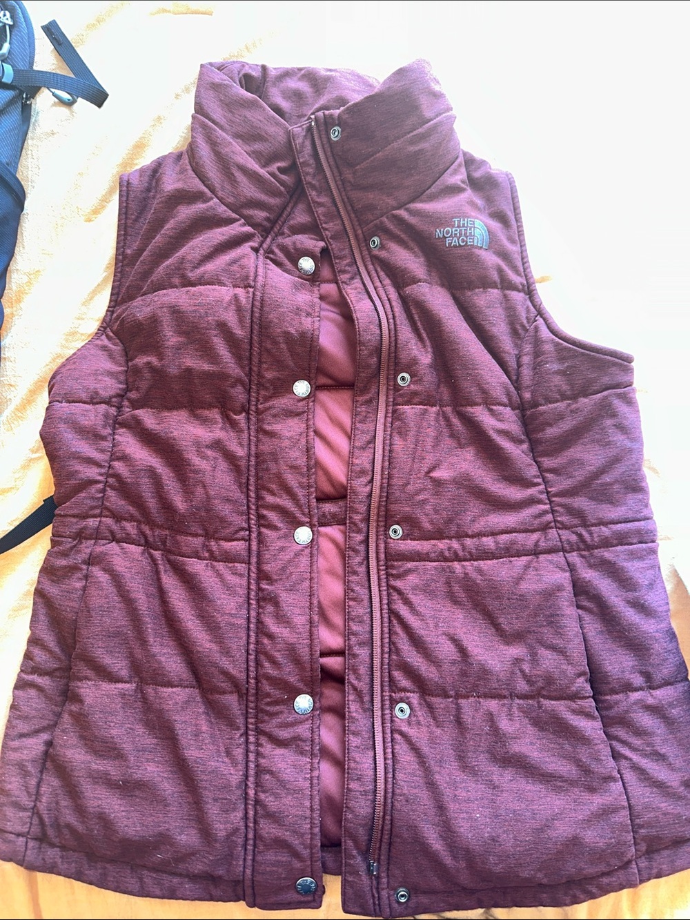 North Face Vest
